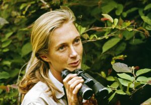 Dr Jane Goodall, DBE as a young woman, holding binoculars