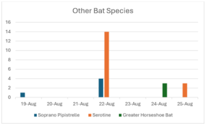 Bar Chart showing other bat species