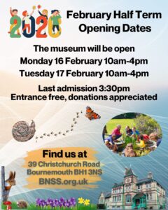 Poster for February Half Term 2026 opening hours
