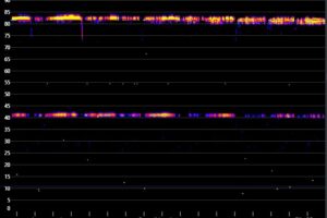 Sonagram of Greater Horseshoe Bat Calls